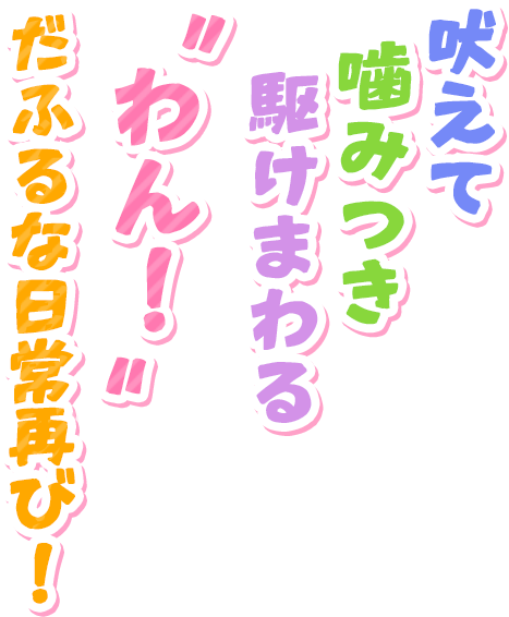 吠えて噛みつき駆けまわる〝わん！〟だふるな日常再び！